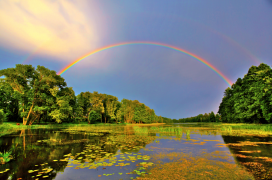 arcobaleno 39 lista